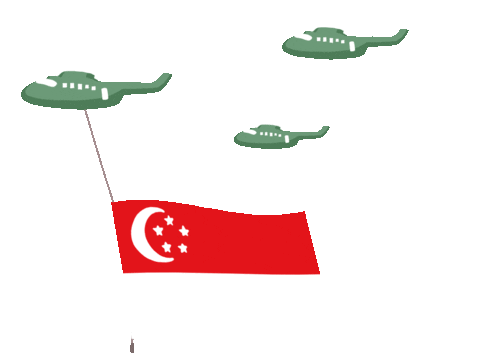 Helicopter with singapore flag